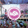 Lovelife (2023 Remaster) - Lush