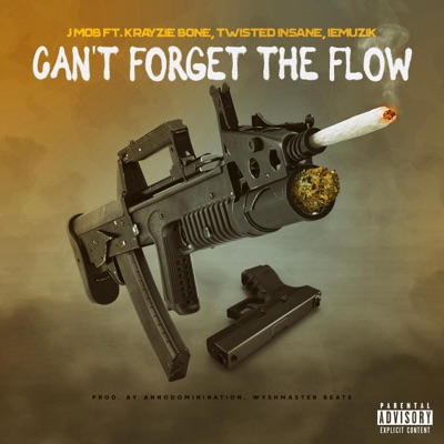 Can't Forget the Flow (feat. Krayzie Bone & Twisted Insane) - Single