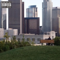 Pretty Little Liar (overnight) - Single - Tapri Grams