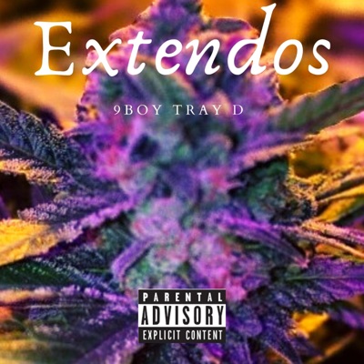 Extendos - Single