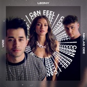 I Can Feel (Extended Mix) artwork