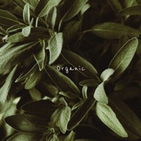 Organic - Single - Hazue