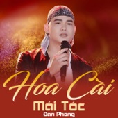 Hoa Cài Mái Tóc artwork