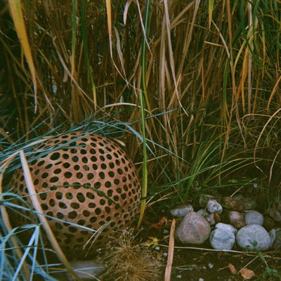 Already Knew - Single