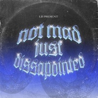 NOT MAD, JUST DISSAPOINTED (feat. Grace GB, Fito, Riversa, A-Badly, AZRIELJOE, Farrelthebear, MoissIsYours, JamieJime, D Song, SUNREN & Adit) - Single - Low Budget Music