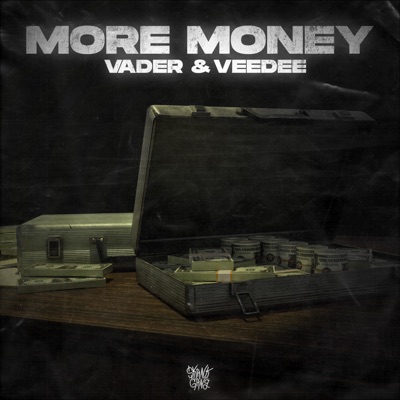 MORE MONEY (feat. VEEDEE) - Single