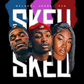 SKEU SKEU (feat. Wilsko & 7ia) artwork