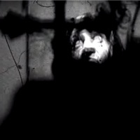 bary ulice - Single - ALFNZ