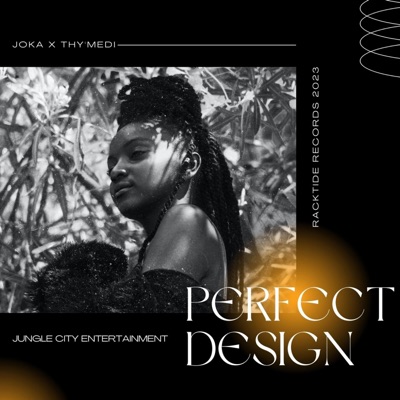 Perfect Design - Single