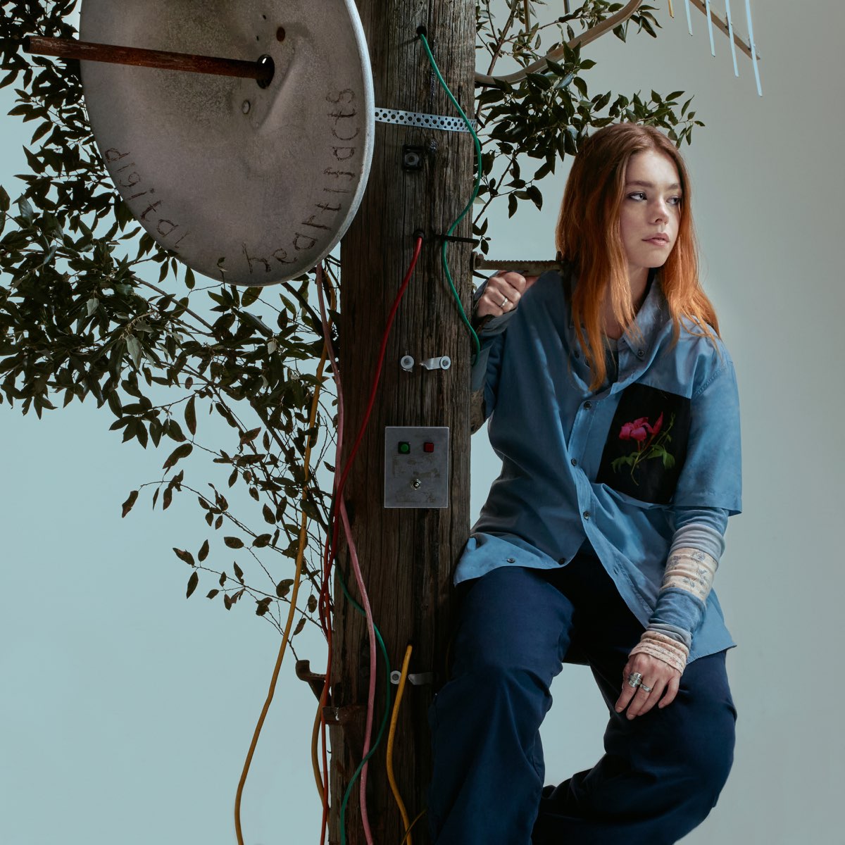 ‎Digital Heartifacts - Album by L Devine - Apple Music