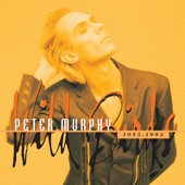 Peter Murphy - Cuts You Up (edit)