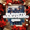 Burrito Sabanero (En Vivo) - Single