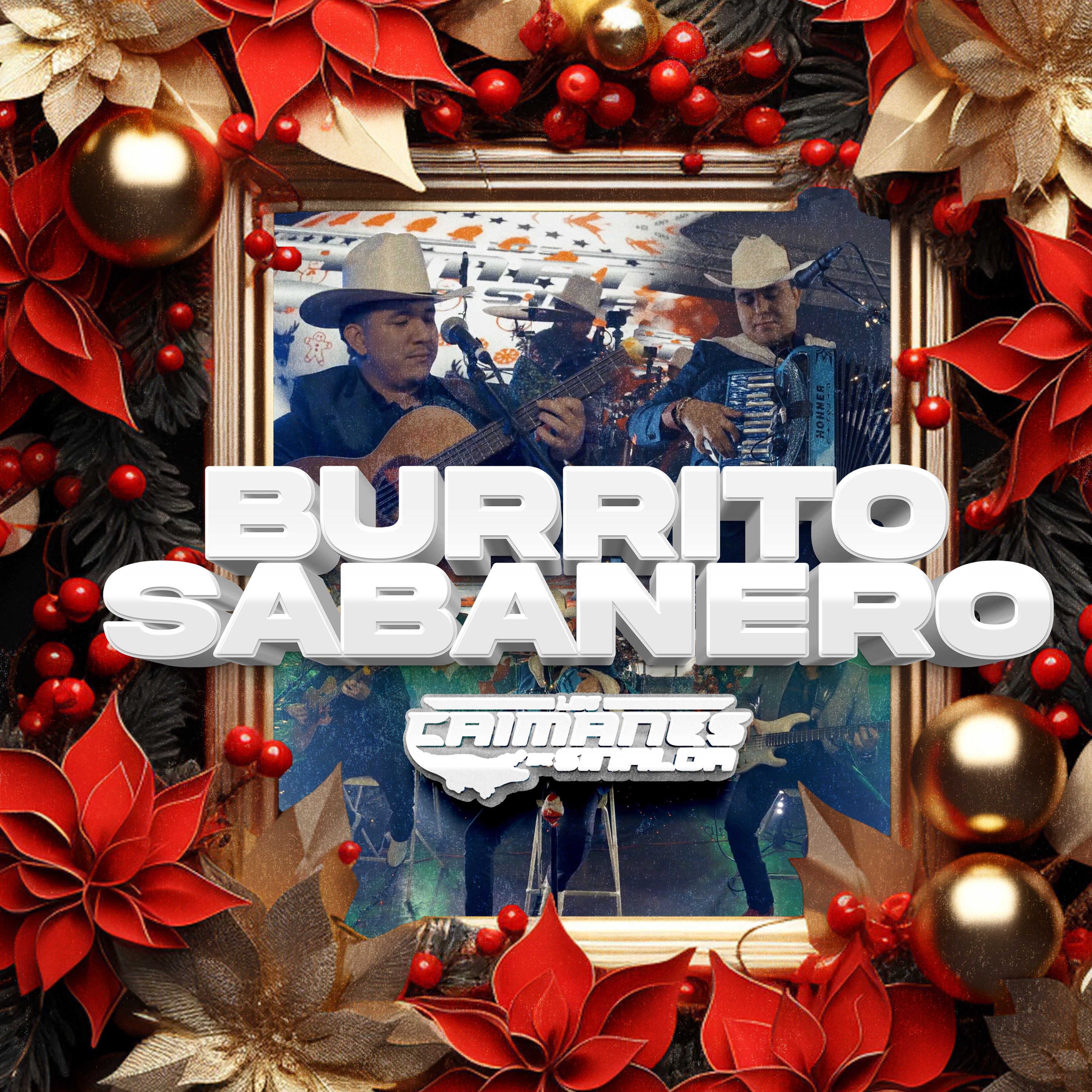 Burrito Sabanero (En Vivo) - Single