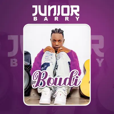 Ascolta 'Boudi - Single' di Junior Barry