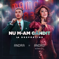 Nu m-am gandit la despartire - Single - Andra & Andrei Banuta