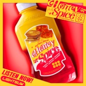 Honey or Spice artwork