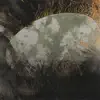 En Tu Presencia