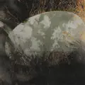 En Tu Presencia