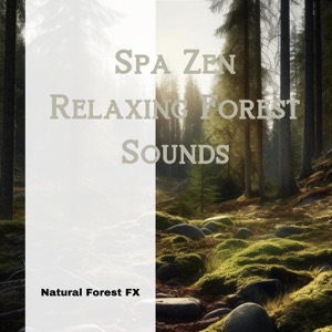 Spa Zen: Relaxing Forest Sounds