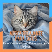 Música Relajante para Gatos - Canciones de Cuna Relajantes para Felinos artwork