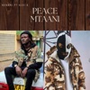 Peace Mtaani (feat. XLVI K) - EP