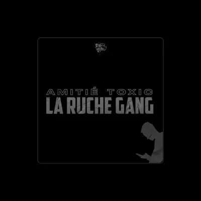 Listen to La Ruche Gang, watch music videos, read bio, see tour dates & more!