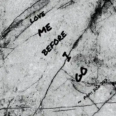 Hör dir „Love Me Before I Go“ von Papii Don 777 an