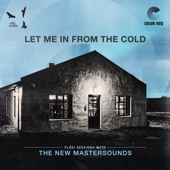 The New Mastersounds - Let Me In From The Cold