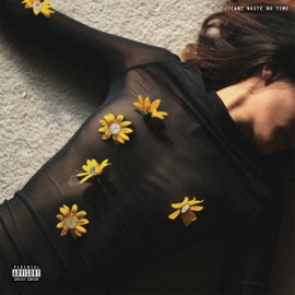 Can't Waste No Time Cook Thugless