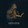 Forgotten Gods - Atrium Carceri