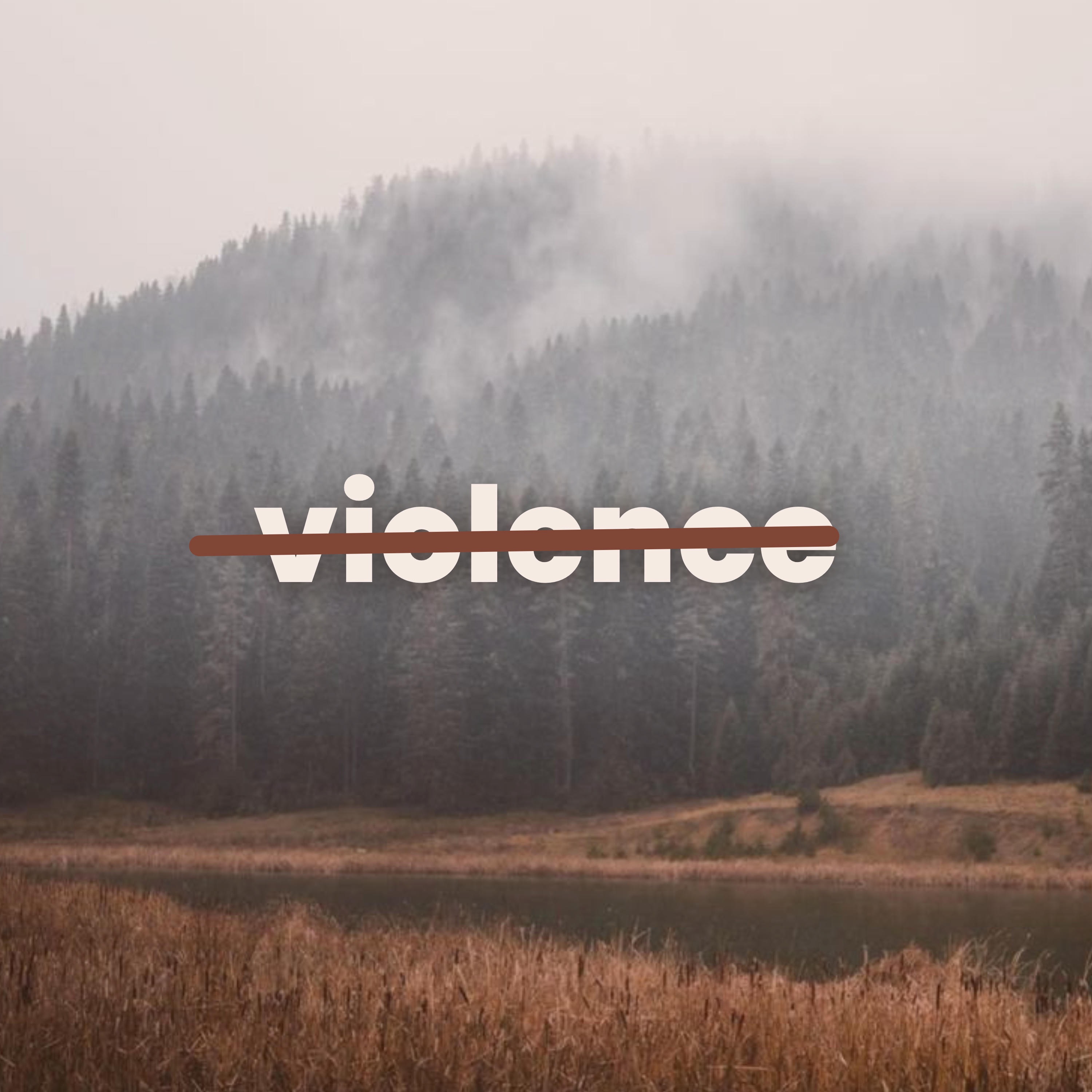 A Non-Violent Approach - Single