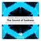 The Sound of Sadness - Jhordan Welsch & Mindlancholic lyrics