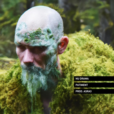 Patiment (feat. Asra3) - Single