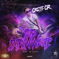 Sigo Extrañandote (feat. GM Studio & Cirujano En El Beat) - Single - CriissCR