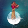 Coleccionando Cicatrices - Single