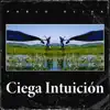 CIEGA INTUICION