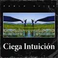 CIEGA INTUICION