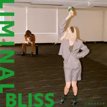 Punch The Shark album cover