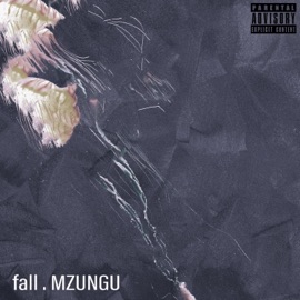 Fall MZUNGU
