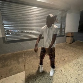 Crashedtheporsche That Yb Ant