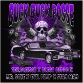 Buck Buck Posse (feat. Blech Beppo, Mr.Sche, Evil Pimp & Stan Man) artwork