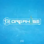 Track artwork for track titled Bande organisée (feat. SCH, Kofs, JUL, Naps, Soso Maness, Elams, Solda & Houari) by 13 Organisé