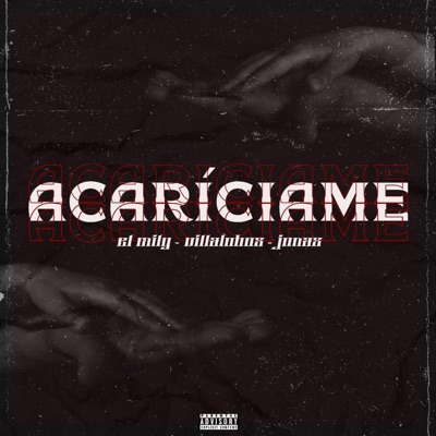 Acaríciame (feat. Trap House, Jonas Camargo & Villalobos) - Single