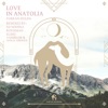 Love in Anatolia (Rukhman Remix) - Single