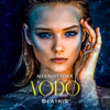 Vodo (ALEX FLEEV REMIX) - BeAtriS