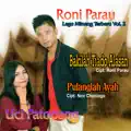 Saruan ranah pasisia