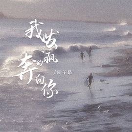 我发了疯的奔向你 陆子昂