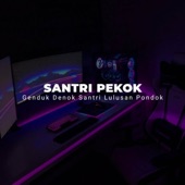 DJ GENDUK DENOK SANTRI LULUSAN PONDOK ( SANTRI PEKOK ) artwork