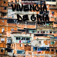 Vivência de Cria - Single - MC NEGUINHO GL