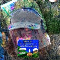 Caution - Single - 104mormo